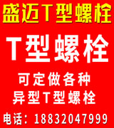 盛迈T型螺栓