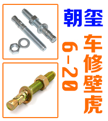 车修壁虎 6-20