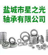 盐城市星之光轴承有限公司