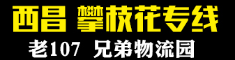 西昌 攀枝花专线   【兄弟物流园】