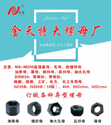 金天特大螺母厂