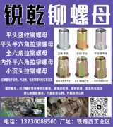 锐乾铆螺母
