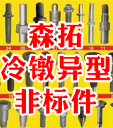 森拓冷镦异型非标件