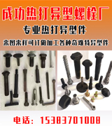 成功标准件厂 