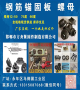 方舟钢筋锚固板 螺母