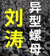 刘涛异型螺母