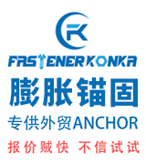 河北瑞业 膨胀锚固 专供外贸ANCHOR