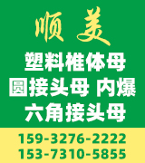顺美塑料椎体母 圆接头母 内爆 六角接头母