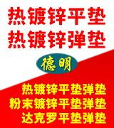 德明 专业热镀锌平垫 弹垫
