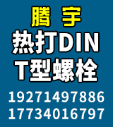 腾宇热打DINT型螺栓