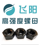 飞阳高强度螺母