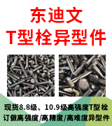东迪文T型栓异型件