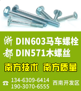 浙都DIN603马车螺栓 DIN571木螺丝