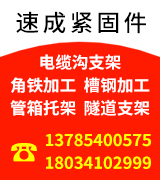 邯郸市永年区速成紧固件