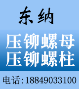 河北东纳压铆紧固件