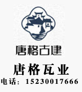 唐格瓦业 唐格瓦业