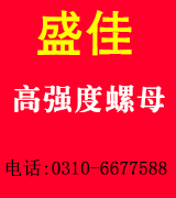 盛佳高强度螺母