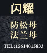 闪耀防松母法兰母一体盖母