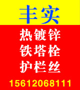 丰实热镀锌螺栓 铁塔栓 护栏丝   
