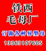 铁西毛母厂
