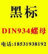 黑标DIN934螺母
