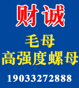 财诚毛母 高强度螺母