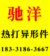 驰洋热打异形件